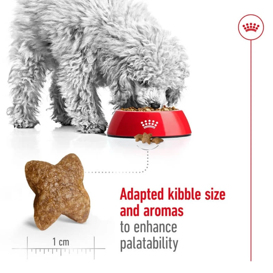 Royal Canin Mini Adult – Trockenfutter für ausgewachsene Hunde kleiner Rassen, 2 kg