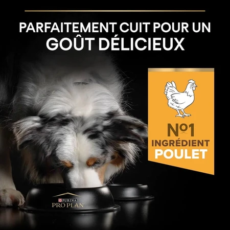 Purina Pro Plan Light Kip - Compleet voer voor volwassen honden van alle groottes (gesteriliseerd/gecastreerd) Light 14 kg