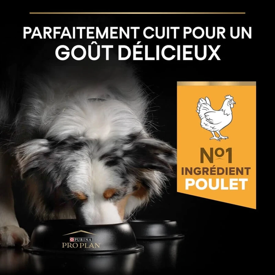 Purina Pro Plan Light Kip - Compleet voer voor volwassen honden van alle groottes (gesteriliseerd/gecastreerd) Light 14 kg