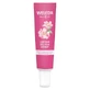 Weleda Crema levigante per il contorno occhi con rosa canina e tè bianco 12 ml