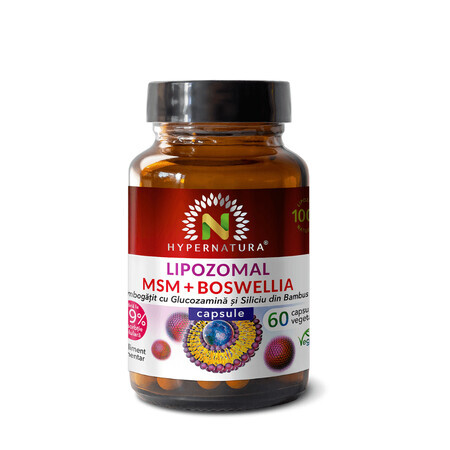 Lipozomaal MSM + Boswellia + Glucosamine + Organisch Silicium, 60 capsules, Hypernatura