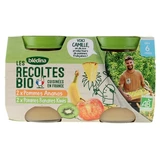 Blédina Les Récoltes Bio: Äpfel & Ananas + Äpfel, Bananen und Kiwis – Für Babys ab 6 Monaten – Bio – 4 Gläschen