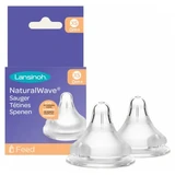 Lansinoh Natural Wave, 2 Sauger, ab 0 Monaten