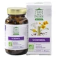 Pagode Organic Sleep Tea, 60 Capsules