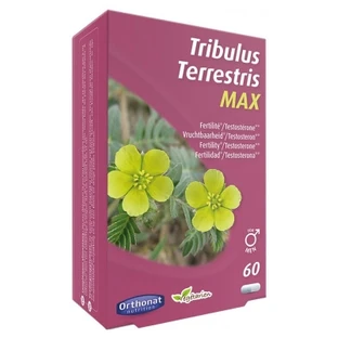 Orthonat Tribulus Terrestris Max Fertility für Männer, 60 Kapseln