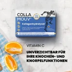 CollaMouv Original Collagen Drinkshot 30x25ml, BHW Bayerische Heilmittel
