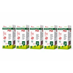 Enterolactis Plus, 5 x 30 Kapseln, Sofar