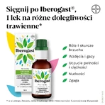 Iberogast monddruppels, 2x100 ml, Bayer