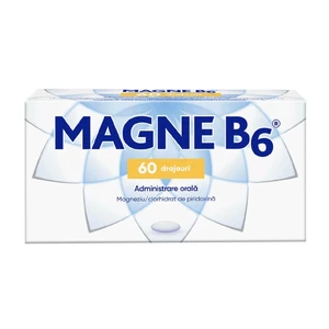 Magne B6
