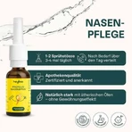 Heybee Propolis Nasenspray, 15 ml Nasenspray
