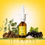 Heybee Propolis Nasenspray, 15 ml Nasenspray