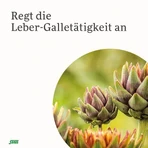Gallexier – ziołowy eliksir gorzki Salus – roztwór do stosowania doustnego, 500 ml roztworu do stosowania doustnego: ceny i cechy