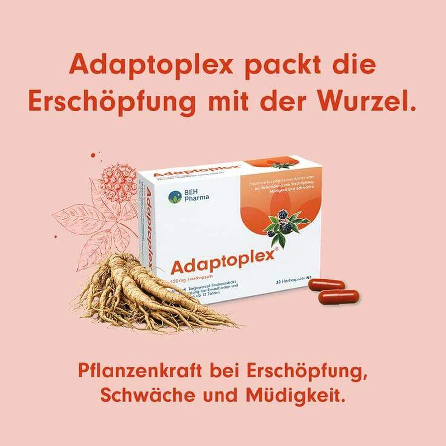Adaptoplex 120 mg, cápsulas duras, 60 cápsulas duras