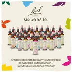 Bachbloesemremedie nr. 21 Mustard, druppels, 20 ml