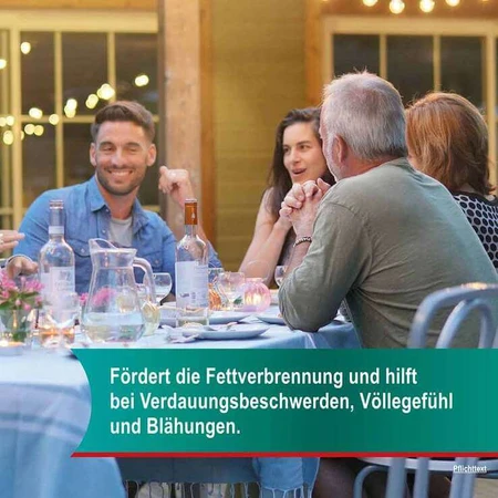 Hepar-SL® 320 mg Hartkapseln, 100 St Hartkapseln