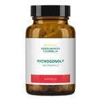Pycnogenol-capsules, capsules van 14 g