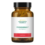 Pycnogenol-capsules, capsules van 14 g