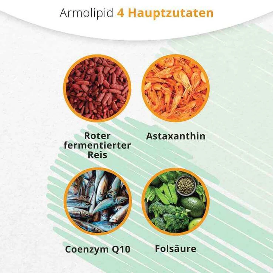 Armolipid Tabletten, 120 St Tabletten