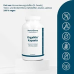 Orgamin Capsules, 300 capsules