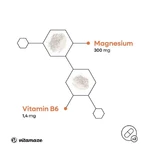Capsule cu bisglicinat de magneziu + vitamina B6, 240 de capsule