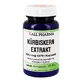 Estratto di semi di zucca 450 mg, capsule GPH, 30 capsule