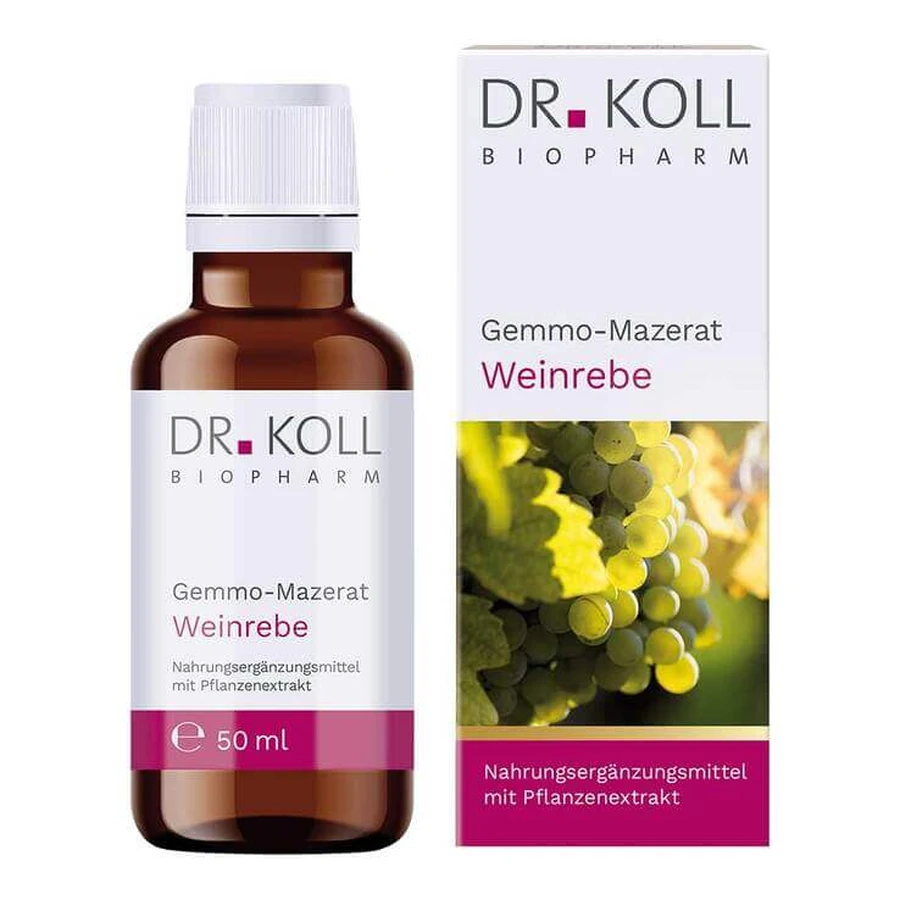 Gemmo-Mazerat Weinrebe Dr. Koll Vitis vinifera Tropfen, 50 ml Tropfen