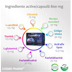 Pack Neuromax, 30 + 30 gélules, Cosmopharm