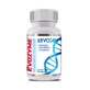 Evozyme, 60 gélules, Evogen