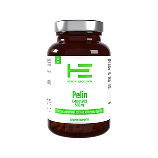 Extracto de ajenjo, 500 mg, 60 cápsulas, Health Evolution
