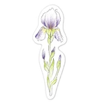 Set de acuarelas - Marcadores de libros con motivos florales, colección «Creaciones naturales»