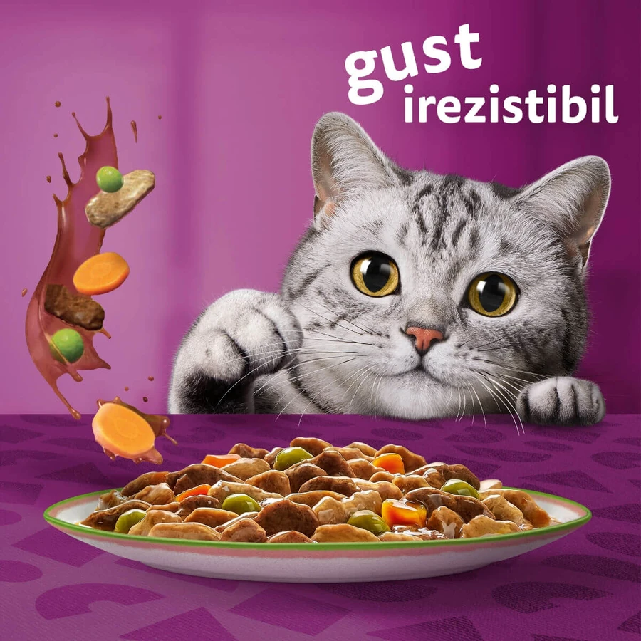 WHISKAS Tasty Mix Chef's Choice, salmone, manzo e pollame, cibo umido per gatti in bustine (in salsa), confezione multipla, 85 g x 4