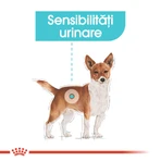 ROYAL CANIN Mini Urinary Care, sucha karma dla psów, zdrowie dróg moczowych, 1 kg: ceny i cechy