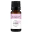 Aceite de pepitas de uva, 10 ml, Zanna