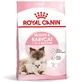 ROYAL CANIN Mother & BabyCat, hrană uscată pisici, mama și puiul, 2kg