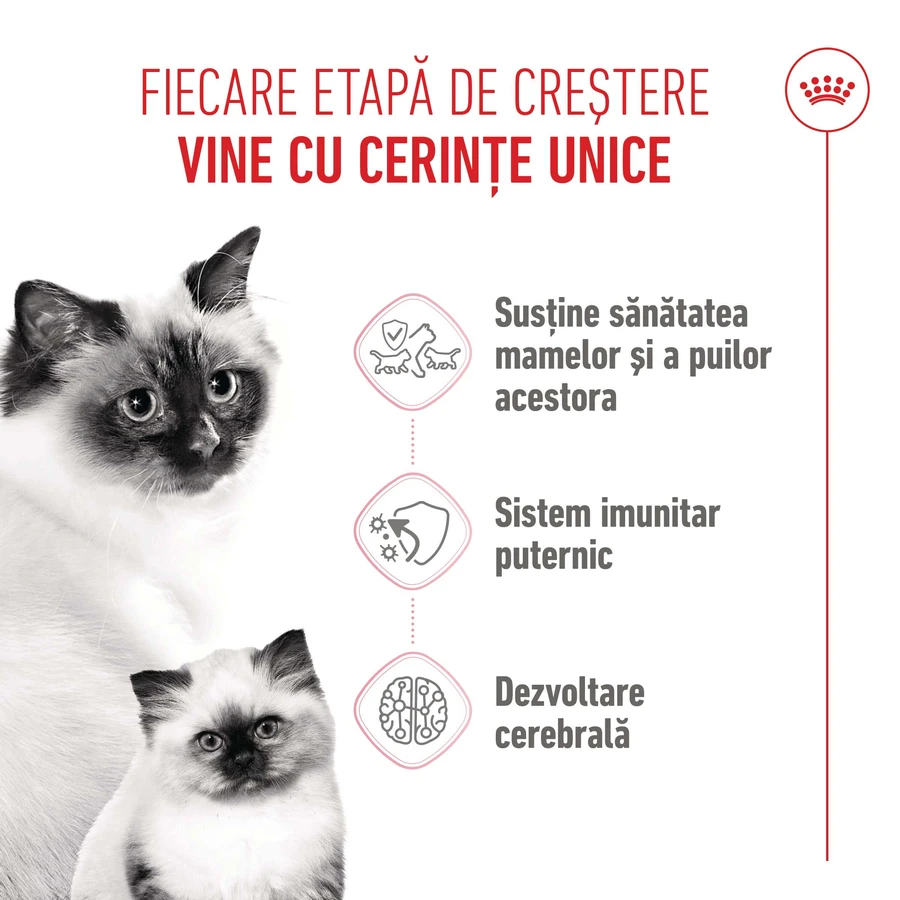 ROYAL CANIN Mother & BabyCat, hrană uscată pisici, mama și puiul, 2kg