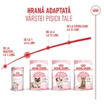 ROYAL CANIN Mother & BabyCat, hrană uscată pisici, mama și puiul, 2kg