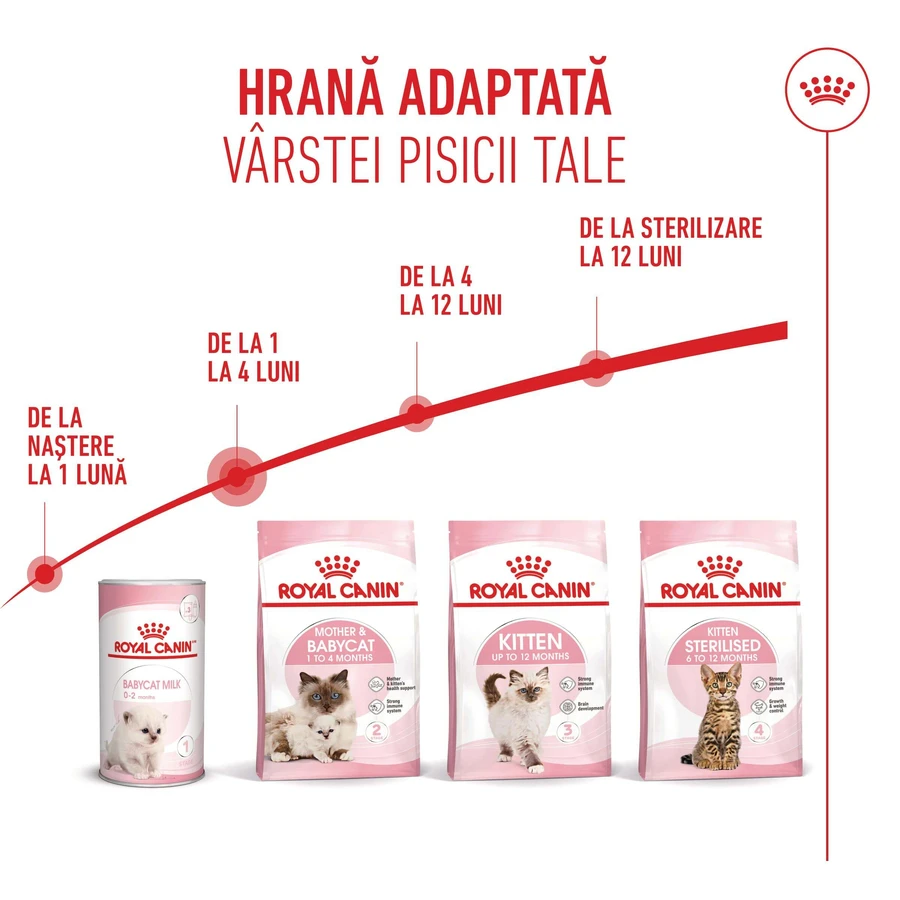 ROYAL CANIN Mother & BabyCat, hrană uscată pisici, mama și puiul, 2kg