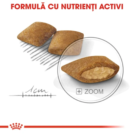 ROYAL CANIN Mini Exigent, Trockenfutter für Hunde, für wählerische Fresser, 1 kg