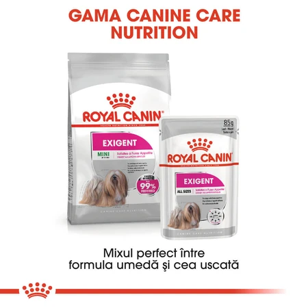ROYAL CANIN Mini Exigent, Trockenfutter für Hunde, für wählerische Fresser, 1 kg