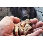 TRIBAL Rewards, XS-XL, Cocos și Banane, punguță recompense funcționale câini, obezitate, 125g