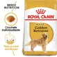 ROYAL CANIN Golden Retriever Adult, Trockenfutter für Hunde, 3 kg