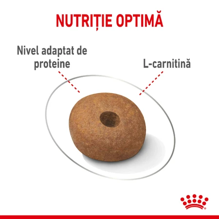 ROYAL CANIN Medium Light Weight Care Adult, croquettes pour chiens adultes, pour le contrôle du poids, 3 kg