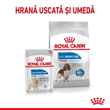 ROYAL CANIN Medium Light Weight Care Adult, croquettes pour chiens adultes, pour le contrôle du poids, 3 kg