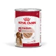 ROYAL CANIN Nassfutter für ausgewachsene Hunde mittlerer Rassen (Pastete), 410 g