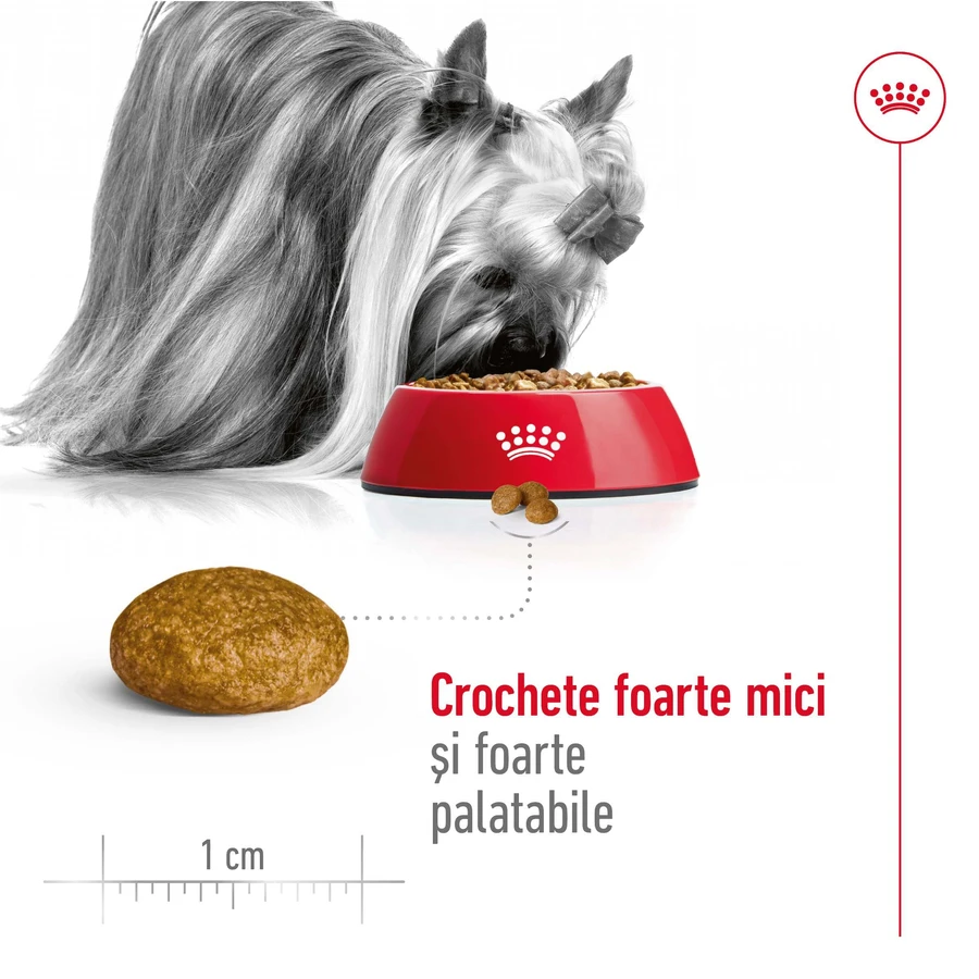 ROYAL CANIN X-Small Adult, Trockenfutter für Hunde, 1,5 kg