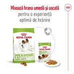 ROYAL CANIN X-Small Adult, Trockenfutter für Hunde, 1,5 kg