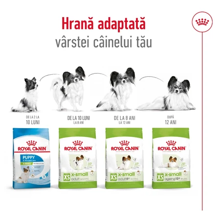 ROYAL CANIN X-Small Adult, Trockenfutter für Hunde, 1,5 kg