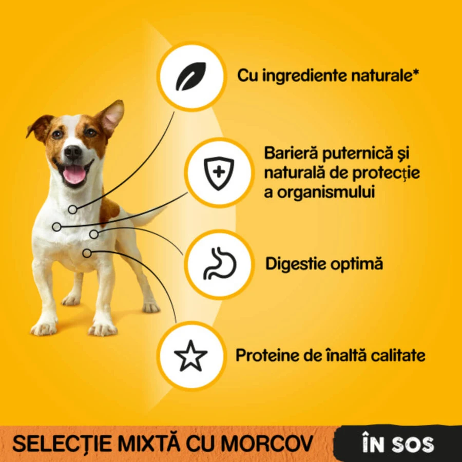 PEDIGREE Gemengd ras, XS-XL, Rundvlees en Kalkoen, nat hondenvoer in zakjes (in saus), multipack, 100 g x 4