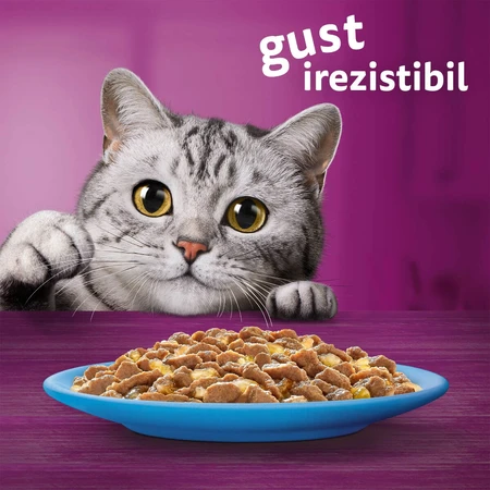 WHISKAS Selections, Pescado, Comida húmeda para gatos en bolsitas (en gelatina), paquete múltiple, 85 g x 12