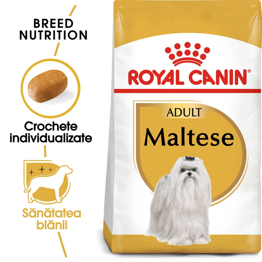 ROYAL CANIN Maltese Adult, droogvoer voor honden, 500 g